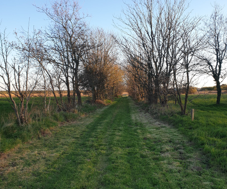 Le Léhan campsite in Brittany offers spacious, shaded pitches for cyclists