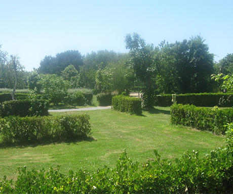 The family campsite The Léhan in Finistère offers shaded or sunny camping pitches for rent
