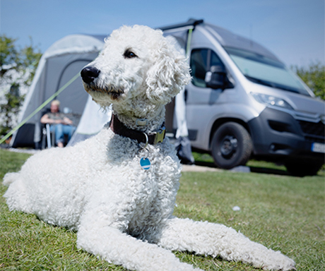 The Léhan campsite offers camping pitches in Brittany for motorhomes.