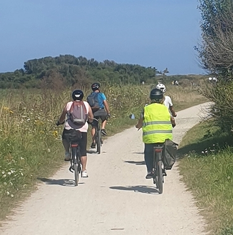 Location de vélos à la demi-journée, à la journée ou à la semaine, proposé au camping Le Léhan, dans le Finistère