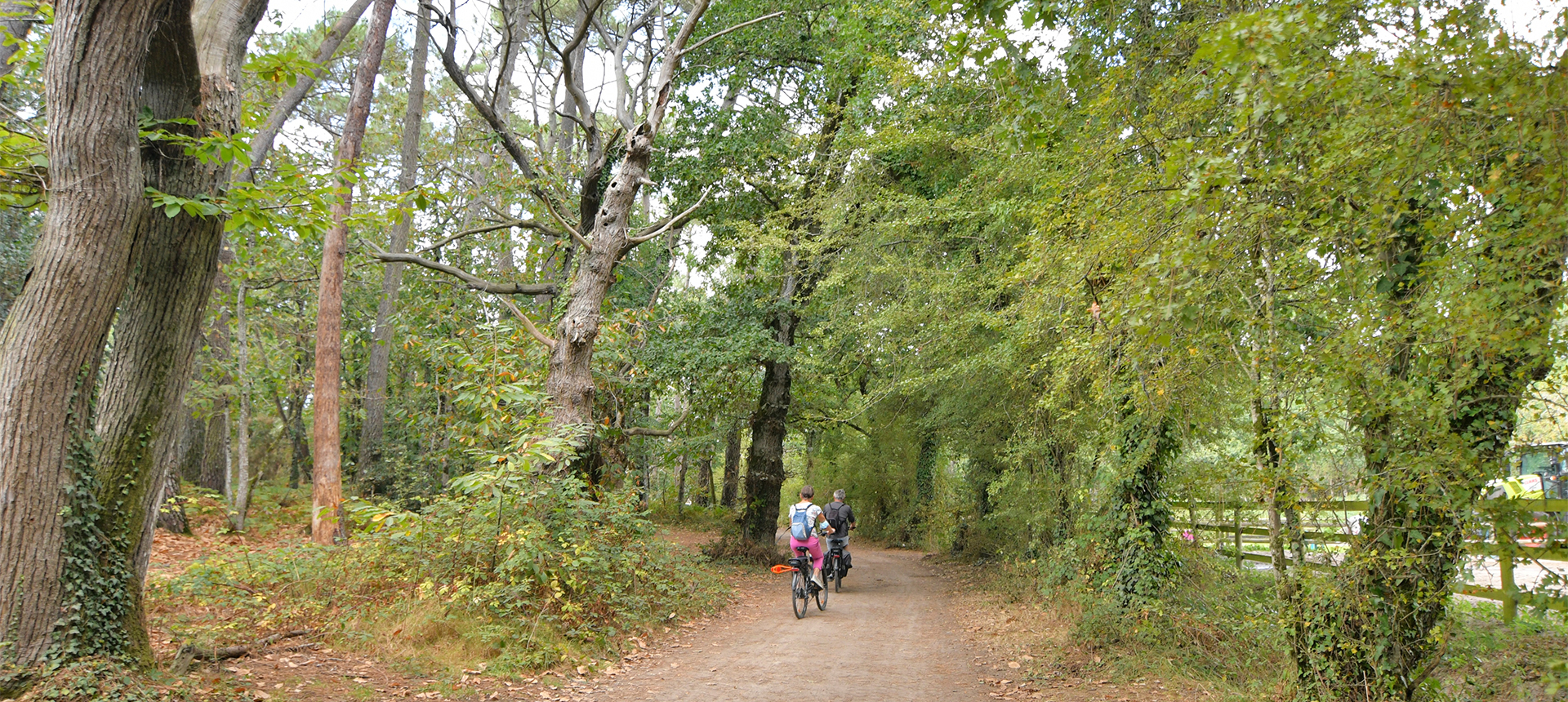 Quality services and comfort at Camping The Léhan in Brittany