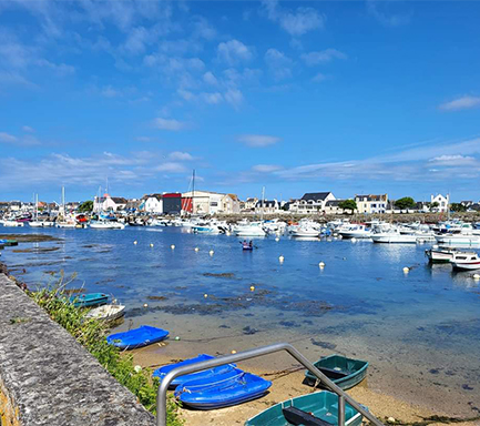 Port Le Guilvinec à 2 km du camping Le Léhan en Bretagne